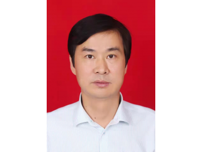 陈磊  副主席